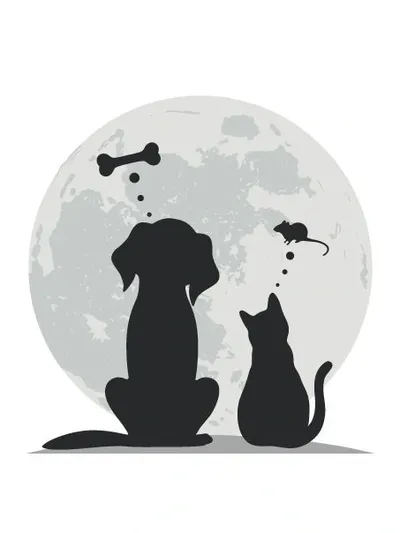 House Sitting, Extended Stays & Pawjama Parties