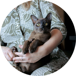cat sitting vet tech pet services ottawa