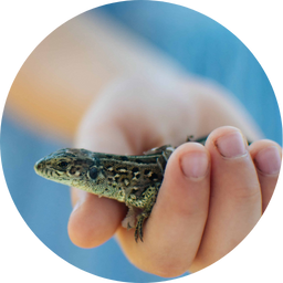 small animal care vet tech pet services ottawa