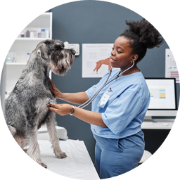 special needs vet tech pet care services ottawa 
